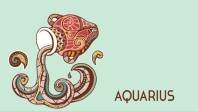 DUA / AQUARIUS — The self card — Jan 21 - Feb 19