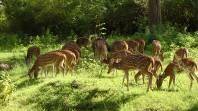 Wildlife sanctuaries in Pakistan